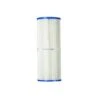 Pleatco - PRB25-IN Filter Cartridge For Dynamic RDC-25/RDC-25S/RTL/RCF-25/DFM/DFML -Pool Supplies Shop DFML