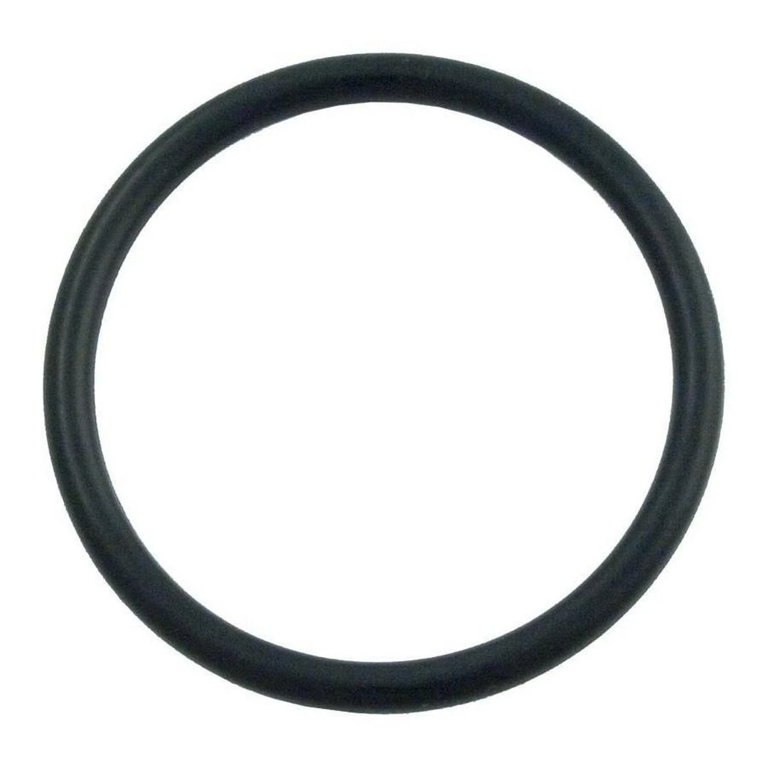 Hayward - Diffuser O-Ring For EcoStar/EcoStar SVRS 8 Hayward - Diffuser O-Ring For EcoStar/EcoStar SVRS - Image 6