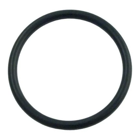 Hayward - Diffuser O-Ring For EcoStar/EcoStar SVRS 5 Hayward - Diffuser O-Ring For EcoStar/EcoStar SVRS - Image 3