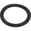 Astralpool - Gasket, Pump Union -Pool Supplies Shop Gasket Pump Union
