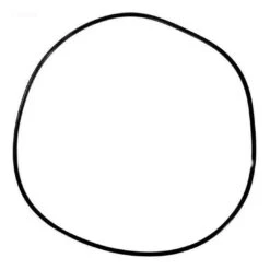 Pentair - O-Ring -Pool Supplies Shop O Ring 1