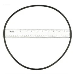Hayward - O-Ring, Filter Head -Pool Supplies Shop O Ring Filter Head 1
