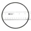 Epp - Replacement O-Ring Volute -Pool Supplies Shop Replacement O Ring volute