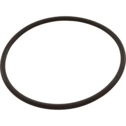 All Seals - Replacement Pump Lid O-Ring For Sta-Rite 6in Trap Cover