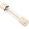 Hayward - GLX-F20-SINGLE Aqua Rite/Trol 20 Amp Fuse, Single -Pool Supplies Shop Trol 20 Amp Fuse Single